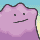 Ditto Normal