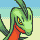 Grovyle Normal