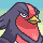 Swellow Normal