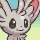 Minccino Normal